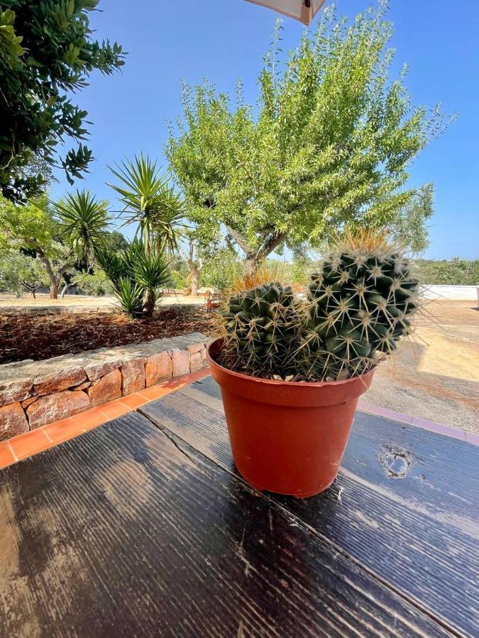 Residenza Fumarola Lägenhet Ostuni Exteriör bild